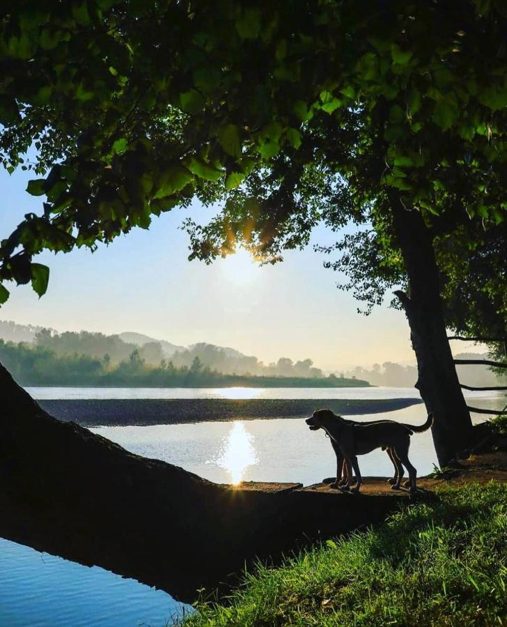 Drinska Laguna Banja Koviljaca Luaran gambar